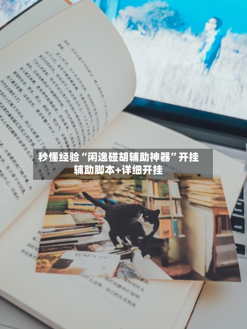秒懂经验“闲逸碰胡辅助神器”开挂辅助脚本+详细开挂-第1张图片