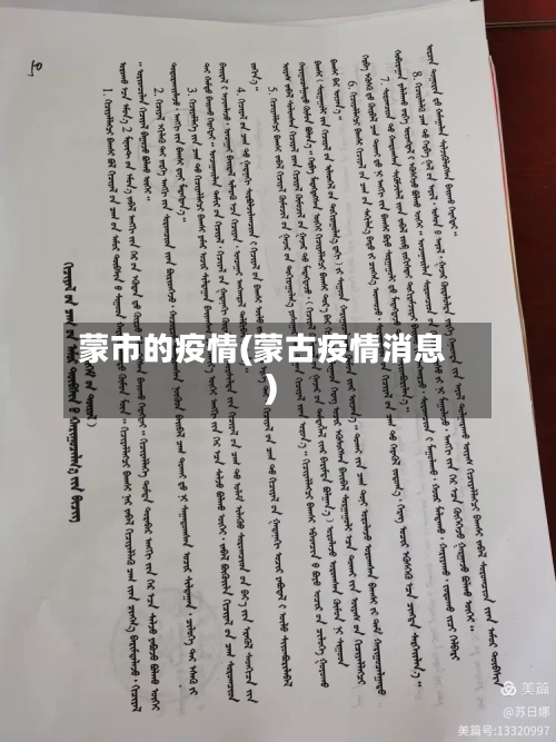 蒙市的疫情(蒙古疫情消息)-第3张图片
