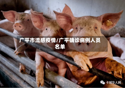 广平市流感疫情/广平确诊病例人员名单-第3张图片