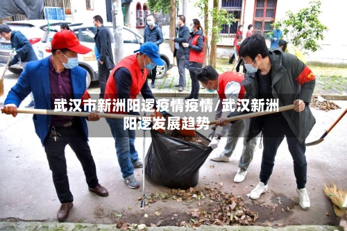 武汉市新洲阳逻疫情疫情/武汉新洲阳逻发展趋势-第1张图片