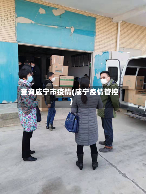 查询咸宁市疫情(咸宁疫情管控)-第3张图片
