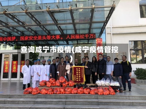 查询咸宁市疫情(咸宁疫情管控)-第2张图片