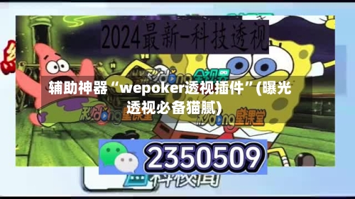 辅助神器“wepoker透视插件”(曝光透视必备猫腻)-第2张图片
