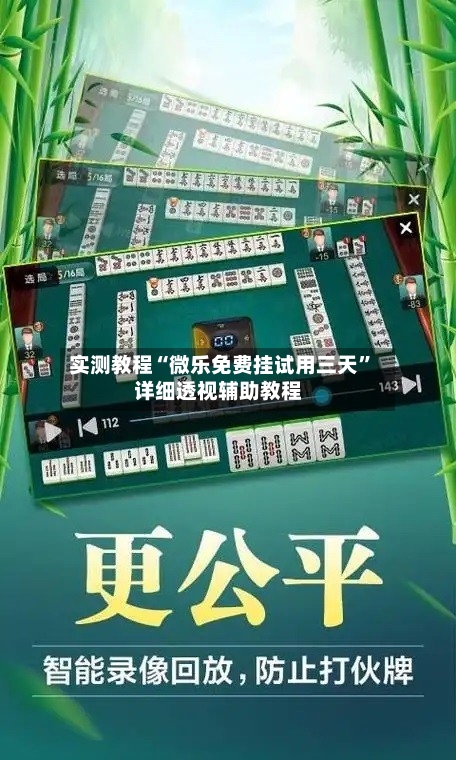 实测教程“微乐免费挂试用三天	”详细透视辅助教程-第2张图片