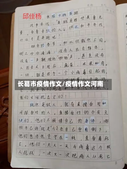 长葛市疫情作文/疫情作文河南-第1张图片