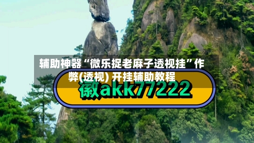 辅助神器“微乐捉老麻子透视挂	”作弊(透视) 开挂辅助教程-第1张图片