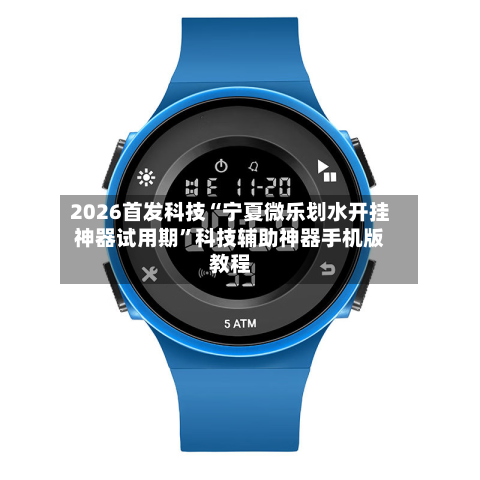 2026首发科技“宁夏微乐划水开挂神器试用期”科技辅助神器手机版教程-第1张图片