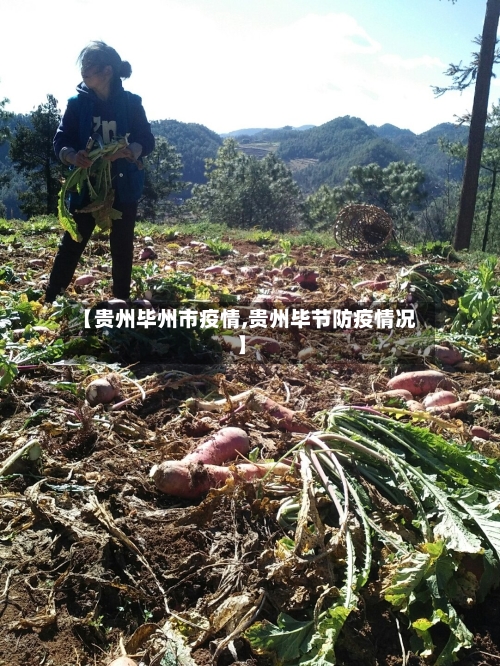 【贵州毕州市疫情,贵州毕节防疫情况】-第2张图片