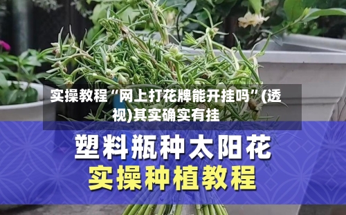 实操教程“网上打花牌能开挂吗	”(透视)其实确实有挂-第1张图片