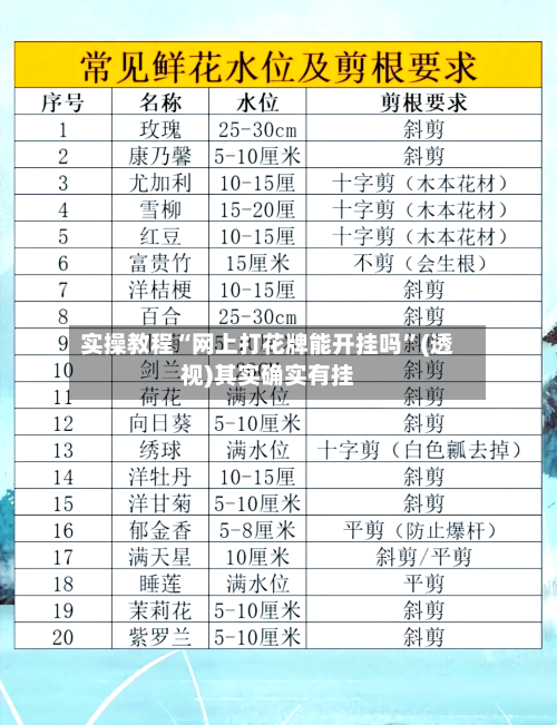 实操教程“网上打花牌能开挂吗”(透视)其实确实有挂-第2张图片