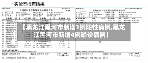 【黑龙江黑河市新增1例阳性病例,黑龙江黑河市新增4例确诊病例】-第3张图片