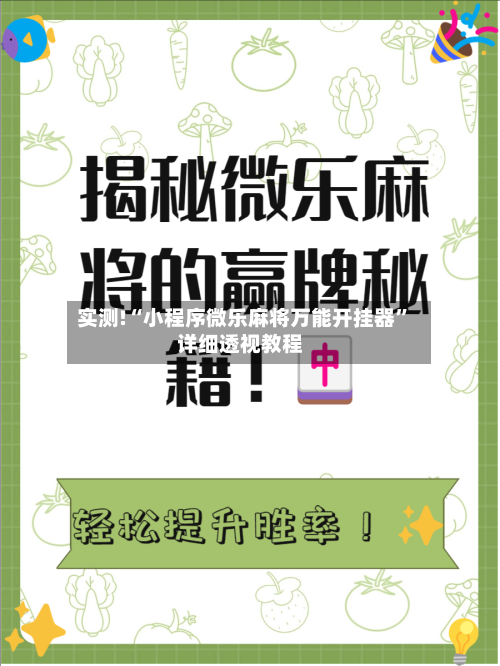 实测!“小程序微乐麻将万能开挂器”详细透视教程-第1张图片
