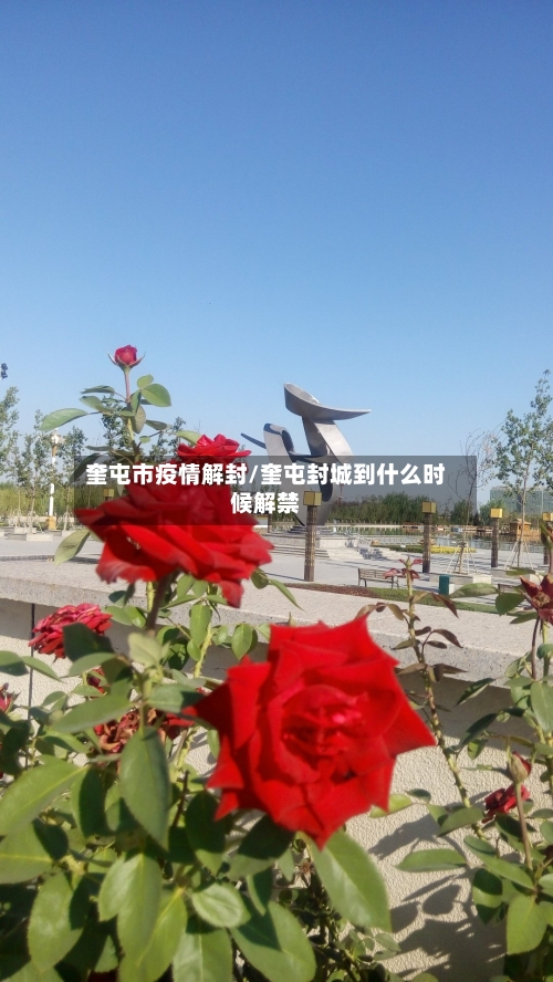 奎屯市疫情解封/奎屯封城到什么时候解禁-第3张图片