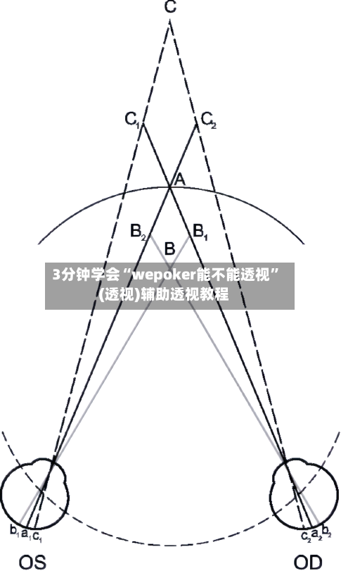 3分钟学会“wepoker能不能透视”(透视)辅助透视教程-第1张图片