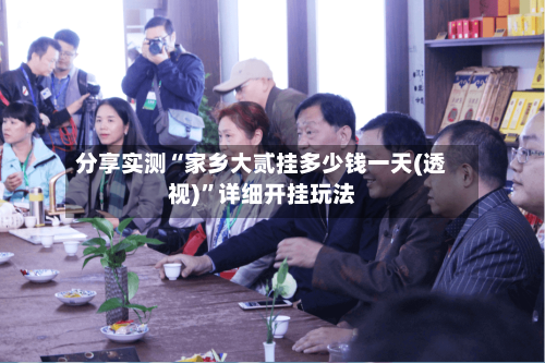 分享实测“家乡大贰挂多少钱一天(透视)	”详细开挂玩法-第2张图片