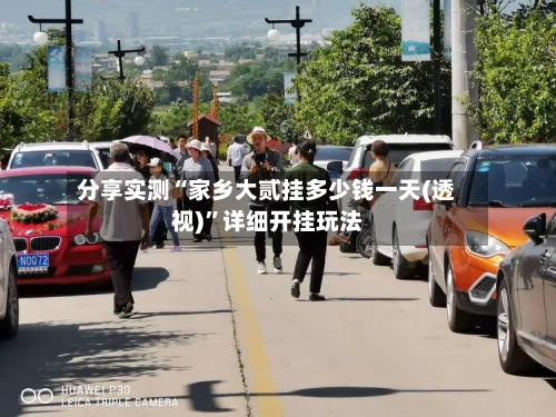 分享实测“家乡大贰挂多少钱一天(透视)”详细开挂玩法-第3张图片
