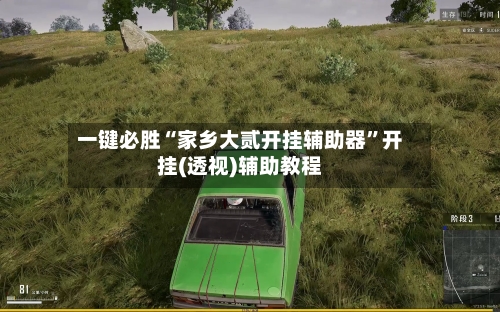 一键必胜“家乡大贰开挂辅助器”开挂(透视)辅助教程-第1张图片