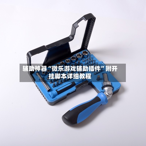 辅助神器“微乐游戏辅助插件”附开挂脚本详细教程-第2张图片