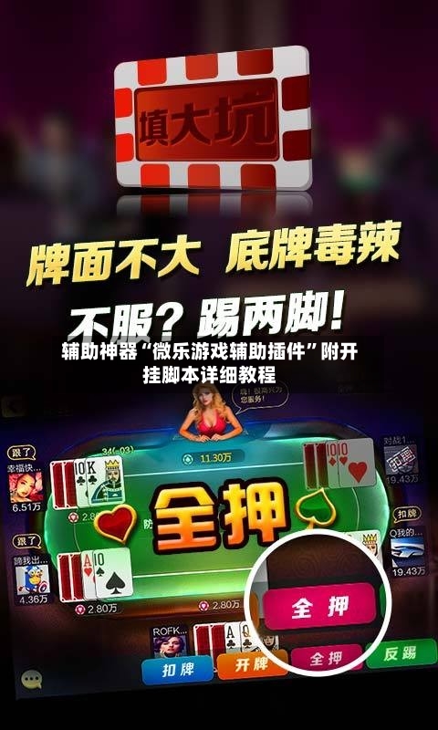 辅助神器“微乐游戏辅助插件	”附开挂脚本详细教程-第1张图片