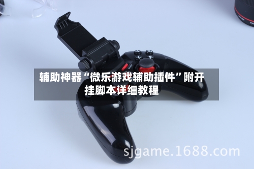辅助神器“微乐游戏辅助插件”附开挂脚本详细教程-第3张图片