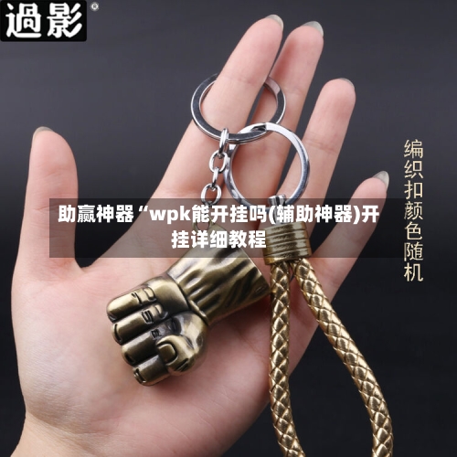 助赢神器“wpk能开挂吗(辅助神器)开挂详细教程-第1张图片