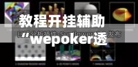教程开挂辅助“wepoker透视开挂教程(透视)”详细辅助透视-第3张图片