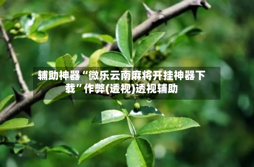 辅助神器“微乐云南麻将开挂神器下载”作弊(透视)透视辅助-第2张图片