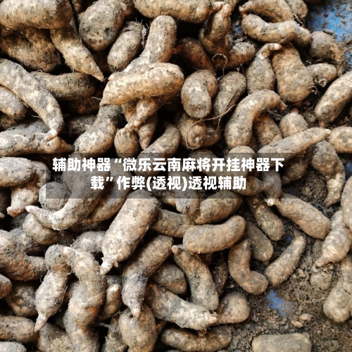 辅助神器“微乐云南麻将开挂神器下载”作弊(透视)透视辅助-第3张图片