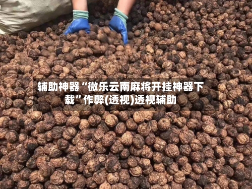 辅助神器“微乐云南麻将开挂神器下载”作弊(透视)透视辅助-第1张图片