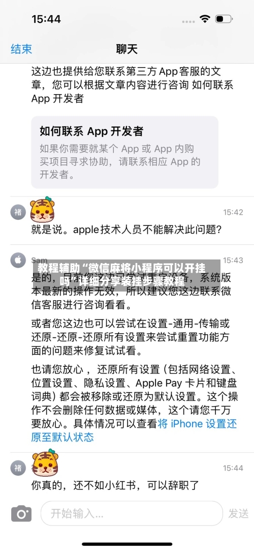 教程辅助“微信麻将小程序可以开挂吗”详细分享装挂步骤教程-第2张图片