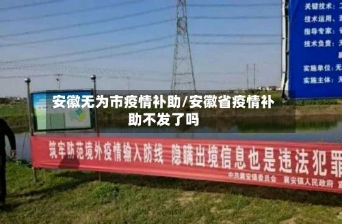 安徽无为市疫情补助/安徽省疫情补助不发了吗-第1张图片