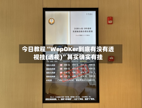 今日教程“WepOKer到底有没有透视挂(透视)”其实确实有挂-第1张图片