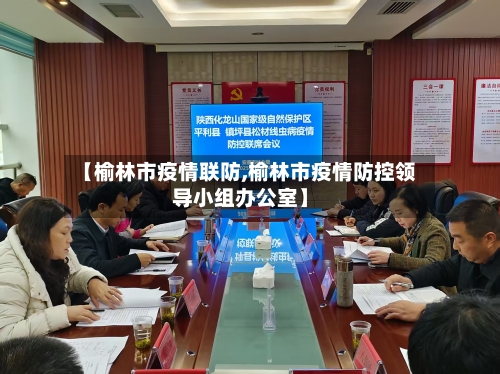 【榆林市疫情联防,榆林市疫情防控领导小组办公室】-第2张图片