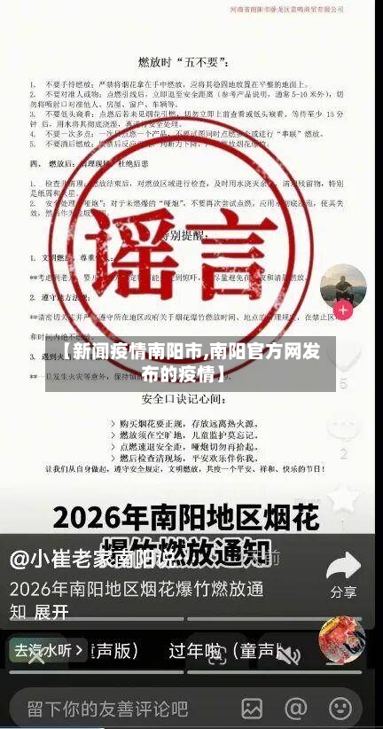 【新闻疫情南阳市,南阳官方网发布的疫情】-第2张图片
