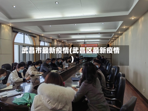 武昌市最新疫情(武昌区最新疫情)-第2张图片