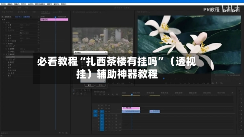 必看教程“扎西茶楼有挂吗”（透视挂）辅助神器教程-第1张图片