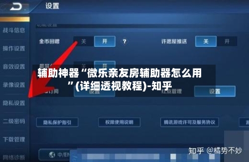 辅助神器“微乐亲友房辅助器怎么用”(详细透视教程)-知乎-第1张图片