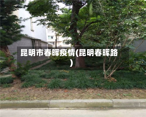 昆明市春晖疫情(昆明春晖路)-第1张图片