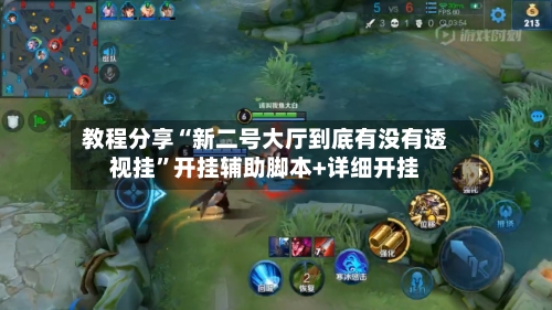教程分享“新二号大厅到底有没有透视挂”开挂辅助脚本+详细开挂-第2张图片