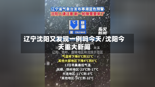 辽宁沈阳又发现一例吗今天/沈阳今天重大新闻-第2张图片