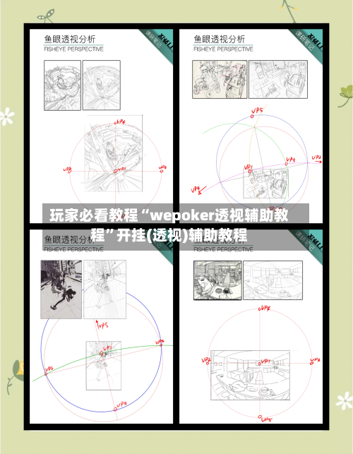 玩家必看教程“wepoker透视辅助教程”开挂(透视)辅助教程-第2张图片