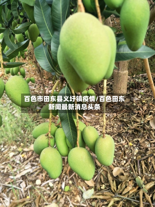 百色市田东县义圩镇疫情/百色田东新闻最新消息头条-第1张图片