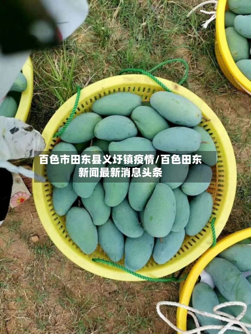 百色市田东县义圩镇疫情/百色田东新闻最新消息头条-第2张图片