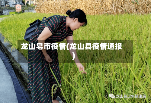 龙山皂市疫情(龙山县疫情通报)-第3张图片