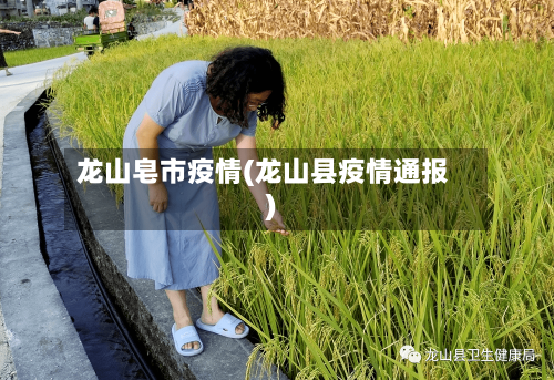 龙山皂市疫情(龙山县疫情通报)-第1张图片