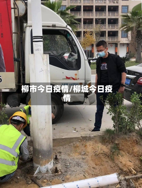 柳市今日疫情/柳城今日疫情-第1张图片