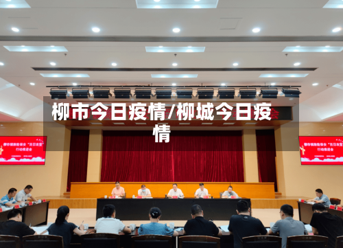 柳市今日疫情/柳城今日疫情-第2张图片