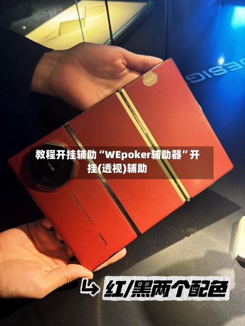 教程开挂辅助“WEpoker辅助器	”开挂(透视)辅助-第1张图片