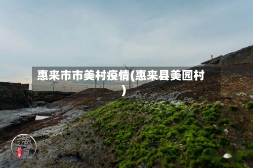 惠来市市美村疫情(惠来县美园村)-第3张图片