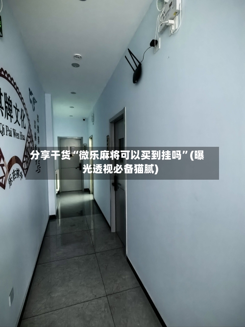 分享干货“微乐麻将可以买到挂吗”(曝光透视必备猫腻)-第1张图片